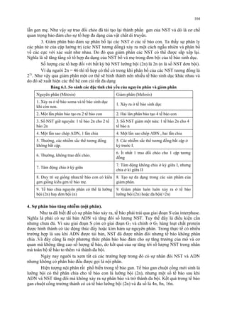 104 
lẫn gen mẹ. Như vậy sự trao đổi chéo đã tái tạo lại thành phần gen của NST và đó là cơ chế 
quan trọng bảo đảm cho sự tổ hợp đa dạng của vật chất di truyền. 
3. Giảm phân bảo đảm sự phân bố lại các NST ở các tế bào con. Ta thấy sự phân ly 
các phân tử của cặp lưởng trị (các NST tương đồng) xảy ra một cách ngẫu nhiên và phân bố 
về các cực với xác suất như nhau. Do đó qua giảm phân các NST có thể được sắp xếp lại. 
Nghĩa là sẽ tăng tầng số tổ hợp đa dạng của NST bố và mẹ trong đơn bội của tế bào sinh dục. 
Số lượng các tổ hợp đối với bất kỳ bộ NST lưỡng bội (2n) là 2n (n là số NST đơn bội). 
Ví dụ người 2n = 46 thì tổ hợp có thể có trong khi phân bố của các NST tương đồng là 
223. Như vậy qua giảm phân một cơ thể sẽ hình thành nên nhiều tế bào sinh dục khác nhau và 
do đó sẽ xuất hiện các thế hệ con cái rất đa dạng 
Bảng 6.1. So sánh các đặc tính chủ yếu của nguyên phân và giảm phân 
Nguyên phân (Mitosis) Giảm phân (Melosis) 
1. Xảy ra ở tế bào soma và tế bào sinh dục 
khi còn non. 1. Xảy ra ở tế bào sinh dục 
2. Một lần phân bào tạo ra 2 tế bào con 2. Hai làn phân bào tạo 4 tế bào con 
3. Số NST giữ nguyên: 1 tế bào 2n cho 2 tế 
bào 2n 
3. Số NST giảm một nửa: 1 tế bào 2n cho 4 
tế bào n 
4. Một lần sao chép ADN, 1 lần chia 4. Một lần sao chép ADN , hai lần chia 
5. Thường, các nhiễm sắc thể tương đồng 
không bắt cặp. 
5. Các nhiễm sắc thể tương đồng bắt cặp ở 
kỳ trước I. 
6. Thường, không trao đổi chéo. 6. Ít nhất 1 trao đổi chéo cho 1 cặp tương 
đồng 
7. Tâm động chia ở kỳ giữa 7. Tâm động không chia ở kỳ giữa I, nhưng 
chia ở kì giữa II 
8. Duy trì sự giống nhau:tế bào con có kiểu 
gen giống kiểu gen tế bào mẹ. 
8. Tạo sự đa dạng trong các sản phẩm của 
giảm phân. 
9. Tế bào chia nguyên phân có thể là lưỡng 
bội (2n) hay đơn bội (n) 
9. Giảm phân luôn luôn xảy ra ở tế bào 
lưỡng bội (2n) hoặc đa bội(>2n) 
4. Sự phân bào tăng nhiễm (nội phân). 
Như ta đã biết để có sự phân bào xảy ra, tế bào phải trải qua giai đoạn S của interphase. 
Nghĩa là phải có sự tái bản ADN và tăng đôi số lượng NST. Tuy thế đây là điều kiện cần 
nhưng chưa đủ. Vì sau giai đoạn S còn có giai đoạn G2 và chính ở G2 hàng loạt chất protein 
được hình thành có tác động thúc đẩy hoặc kìm hảm sự nguyên phân. Trong thực tế có nhiều 
trường hợp là sau khi ADN được tái bản, NST đã được nhân đôi nhưng tế bào không phân 
chia .Và đây cũng là một phương thức phân bào bảo đảm cho sự tăng trưởng của mô và cơ 
quan mà không tăng cao số lượng tế bào, do kết quả của sự tăng tới số lượng NST trong nhân 
mà toàn bộ tế bào to thêm và thành đa bội. 
Ngày nay người ta xem tất cả các trường hợp trong đó có sự nhân đôi NST và ADN 
nhưng không có phân bào đều được gọi là nội phân. 
Hiện tượng nội phân rất phổ biến trong tế bào gan. Tế bào gan chuột cống mới sinh là 
lưỡng bội có thể phân chia cho tế bào con là lưỡng bội (2n), nhưng một số tế bào sau khi 
ADN và NST tăng đôi mà không xảy ra sự phân bào và trở thành đa bội. Kết quả trong tế bào 
gan chuột cống trưởng thành có cả tế bào lưỡng bội (2n) và đa số là 4n, 8n, 16n. 
 