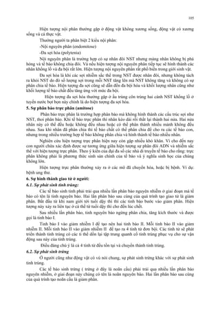 105 
Hiện tượng nội phân thường gặp ở động vật không xương sống, động vật có xương 
sống và cả thực vật. 
Thường người ta phân biệt 2 kiểu nội phân: 
-Nội nguyên phân (endomitose) 
-Đa sợi hóa (polytenia) 
Nội nguyên phân là trường hợp có sự nhân đôi NST nhưng màng nhân không bị phá 
hỏng và tế bào không chia đôi. Và nếu hiện tượng nội nguyên phân tiếp tục sẽ hình thành các 
nhân khổng lồ và đa bội rất lớn. Hiện tượng nội nguyên phân rất phổ biến trong giới sinh vật. 
Đa sợi hóa là khi các sợi nhiễm sắc thể trong NST được nhân đôi, nhưng không tách 
ra khỏi NST do đó số lượng sợi trong mỗi NST tăng lên mà NST không tăng và không có sự 
phân chia tế bào. Hiện tượng đa sợi cũng sẽ dẫn đến đa bội hóa và khối lượng nhân cũng như 
khối lượng tế bào chất đều tăng ứng với mức đa bội. 
Hiện tượng đa sợi hóa thường gặp ở ấu trùng côn trùng hai cánh NST khổng lồ ở 
tuyến nước bọt bọn này chính là do hiện tượng đa sợi hóa. 
5. Sự phân bào trực phân (amitose) 
Phân bào trực phân là trường hợp phân bào mà không hình thành các cấu trúc sợi như 
NST, thoi phân bào. Khi tế bào trực phân thì nhân kéo dài rồi thắt lại thành hai nửa. Hai nửa 
nhân này có thể đều hoặc không đều nhau hoặc có thể phân thành nhiều mảnh không đều 
nhau. Sau khi nhân đã phân chia thì tế bào chất có thể phân chia để cho ra các tế bào con, 
nhưng trong nhiều trường hợp tế bào không phân chia và hình thành tế bào nhiều nhân. 
Nghiên cứu hiện tượng trực phân hiện nay còn gặp nhiều khó khăn. Vì cho đến nay 
con người chứa xác định được sự tương ứng giữa hiện tượng sự phân đôi ADN và nhiễm sắc 
thể với hiện tượng trực phân. Theo ý kiến của đại đa số các nhà di truyền tế bào cho rằng: trực 
phân không phải là phương thức sinh sản chính của tế bào và ý nghĩa sinh học của chúng 
không lớn. 
Hiện tượng trực phân thường xảy ra ở các mô đã chuyển hóa, hoặc bị bệnh. Ví dụ: 
bệnh ung thư. 
6. Sự hình thành giao tử ở người: 
6.1. Sự phát sinh tinh trùng: 
Các tế bào sinh tinh phải trải qua nhiều lần phân bào nguyên nhiễm ở giai đoạn mà tế 
bào có tên là tinh nguyên bào. Hai lần phân bào sau cùng của quá trình tạo giao tử là giảm 
phân. Bắt đầu từ khi nam giới tới tuổi dậy thì thì các tinh bào bước vào giảm phân. Hiện 
tượng này xảy ra liên tục ở cá thể từ tuổi dậy thì cho đến lúc chết. 
Sau nhiều lần phân bào, tinh nguyên bào ngừng phân chia, tăng kích thước và được 
gọi là tinh bào I. 
Tinh bào I vào giảm nhiễm I để tạo nên hai tinh bào II. Mỗi tinh bào II vào giảm 
nhiễm II. Mỗi tinh bào II vào giảm nhiễm II để tạo ra 4 tinh tử đơn bội. Các tinh tử sẽ phát 
triển thành tinh trùng có các ti thể dồn lại tập trung quanh cổ tinh trùng phục vụ cho sự vận 
động sau này của tinh trùng. 
Điều đáng chú ý là cả 4 tinh tử đều tồn tại và chuyển thành tinh trùng. 
6.2. Sự phát sinh trứng 
Ở người cũng như động vật có vú nói chung, sự phát sinh trứng khác với sự phát sinh 
tinh trùng. 
Các tế bào sinh trứng ( trứng ở đây là noãn cầu) phải trải qua nhiều lần phân bào 
nguyên nhiễm, ở giai đoạn này chúng có tên là noãn nguyên bào. Hai lần phân bào sau cùng 
của quá trình tạo noãn cầu là giảm phân. 
 