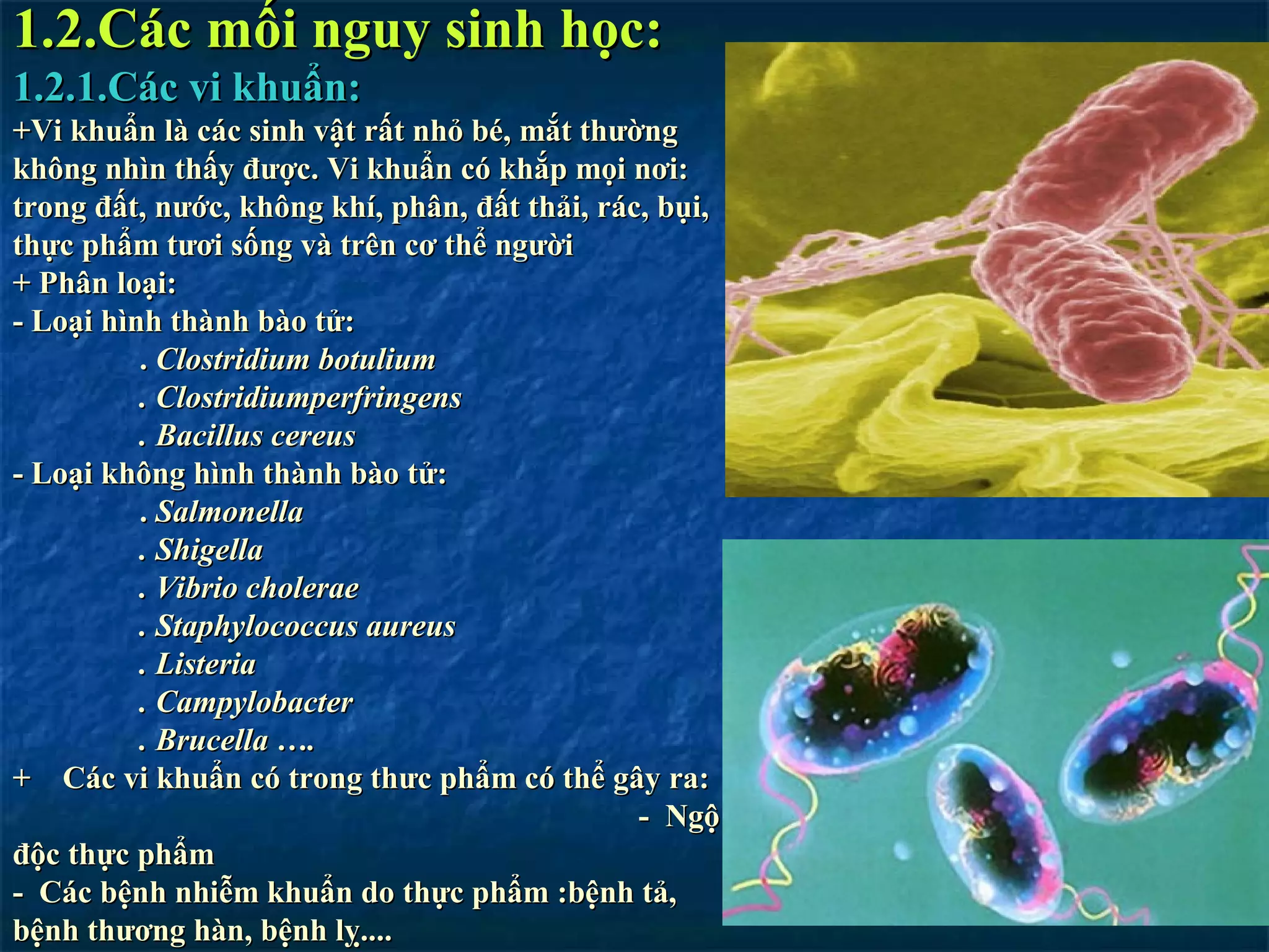 Vsattp Giao trinh tập huấn vsattp | PPT