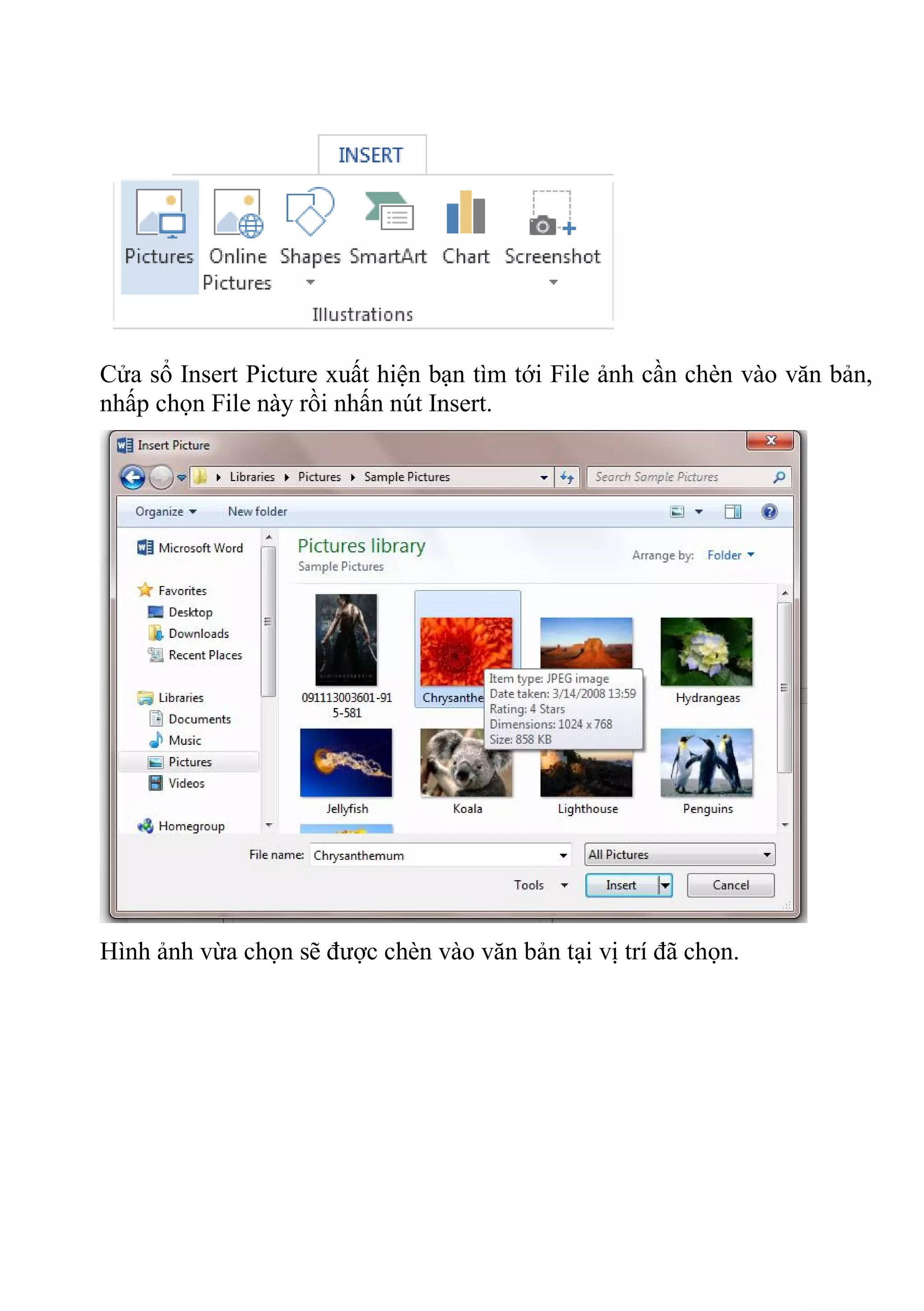 Cửa sổ Insert Picture xuất hiện bạn tìm tới File ảnh cần chèn vào văn bản,
nhấp chọn File này rồi nhấn nút Insert.
Hình ảnh vừa chọn sẽ được chèn vào văn bản tại vị trí đã chọn.
 