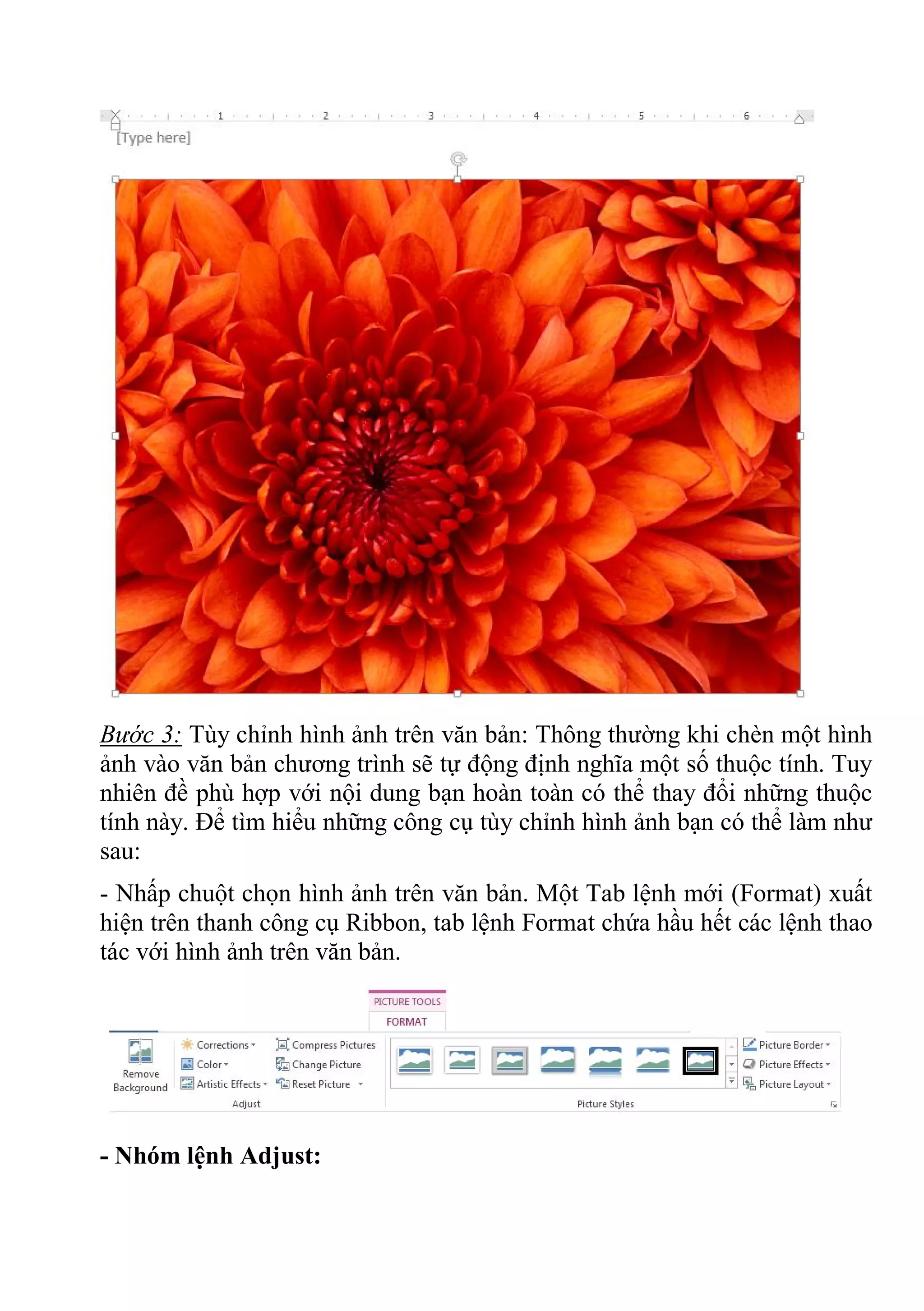 Bước 3: Tùy chỉnh hình ảnh trên văn bản: Thông thường khi chèn một hình
ảnh vào văn bản chương trình sẽ tự động định nghĩa một số thuộc tính. Tuy
nhiên đề phù hợp với nội dung bạn hoàn toàn có thể thay đổi những thuộc
tính này. Để tìm hiểu những công cụ tùy chỉnh hình ảnh bạn có thể làm như
sau:
- Nhấp chuột chọn hình ảnh trên văn bản. Một Tab lệnh mới (Format) xuất
hiện trên thanh công cụ Ribbon, tab lệnh Format chứa hầu hết các lệnh thao
tác với hình ảnh trên văn bản.
- Nhóm lệnh Adjust:
 