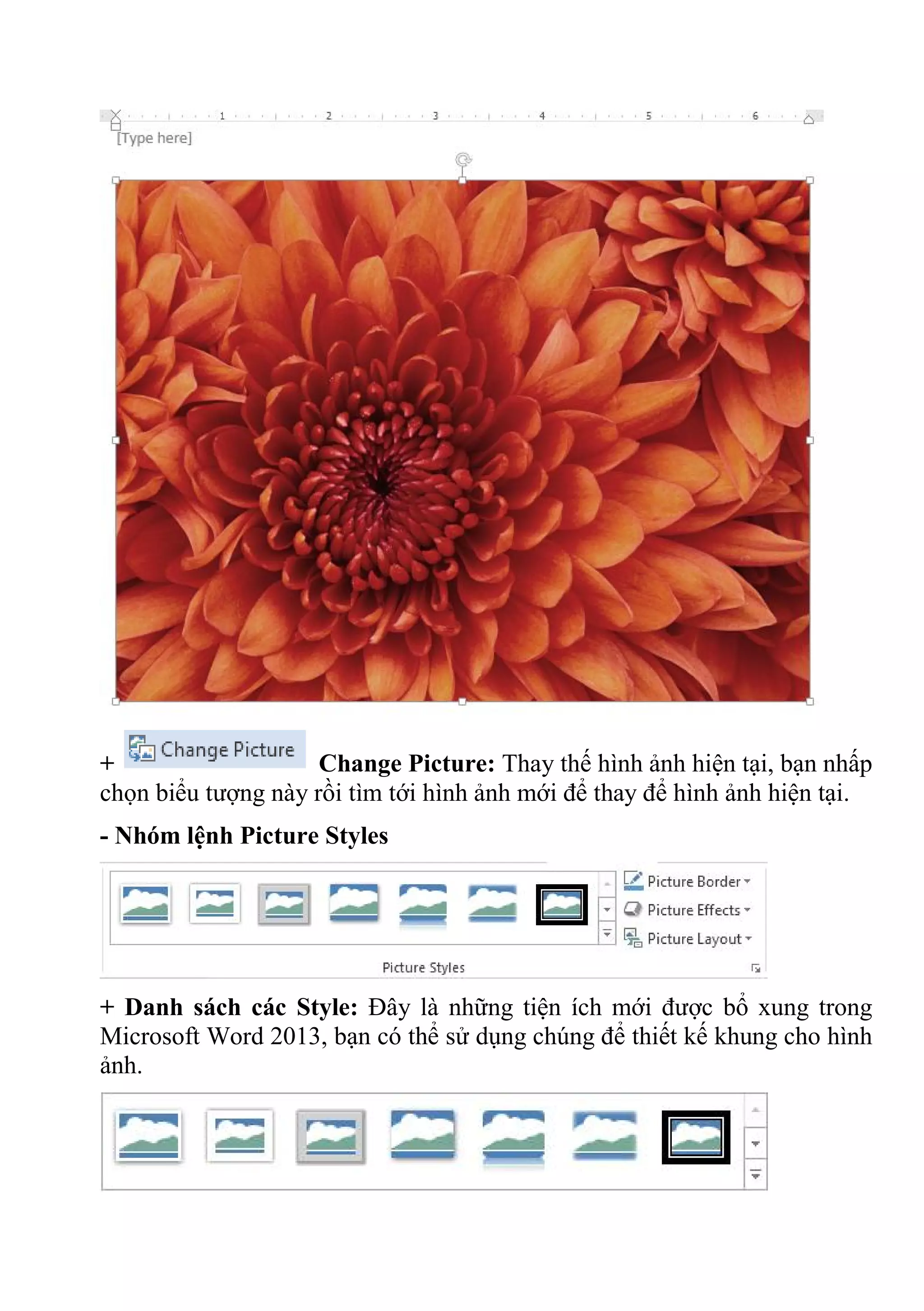 + Change Picture: Thay thế hình ảnh hiện tại, bạn nhấp
chọn biểu tượng này rồi tìm tới hình ảnh mới để thay để hình ảnh hiện tại.
- Nhóm lệnh Picture Styles
+ Danh sách các Style: Đây là những tiện ích mới được bổ xung trong
Microsoft Word 2013, bạn có thể sử dụng chúng để thiết kế khung cho hình
ảnh.
 