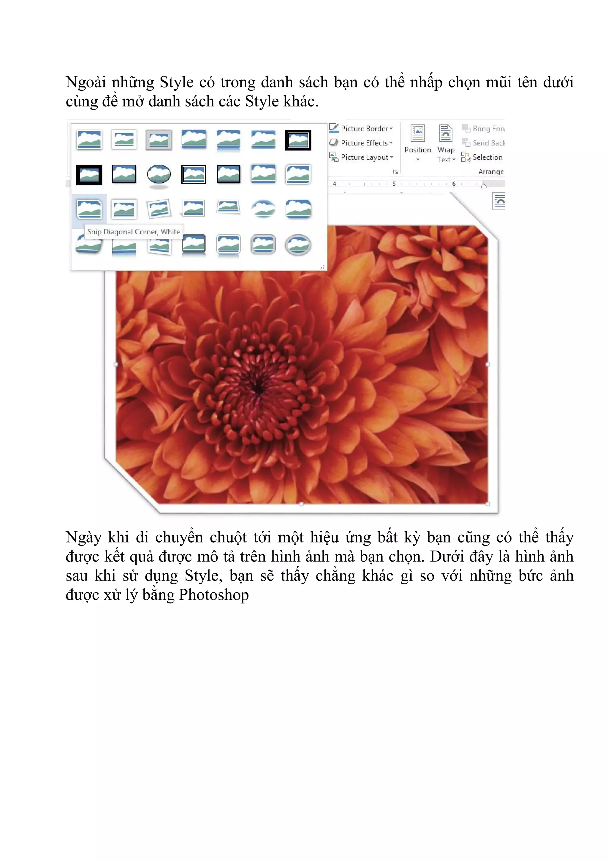 Ngoài những Style có trong danh sách bạn có thể nhấp chọn mũi tên dưới
cùng để mở danh sách các Style khác.
Ngày khi di chuyển chuột tới một hiệu ứng bất kỳ bạn cũng có thể thấy
được kết quả được mô tả trên hình ảnh mà bạn chọn. Dưới đây là hình ảnh
sau khi sử dụng Style, bạn sẽ thấy chẳng khác gì so với những bức ảnh
được xử lý bằng Photoshop
 