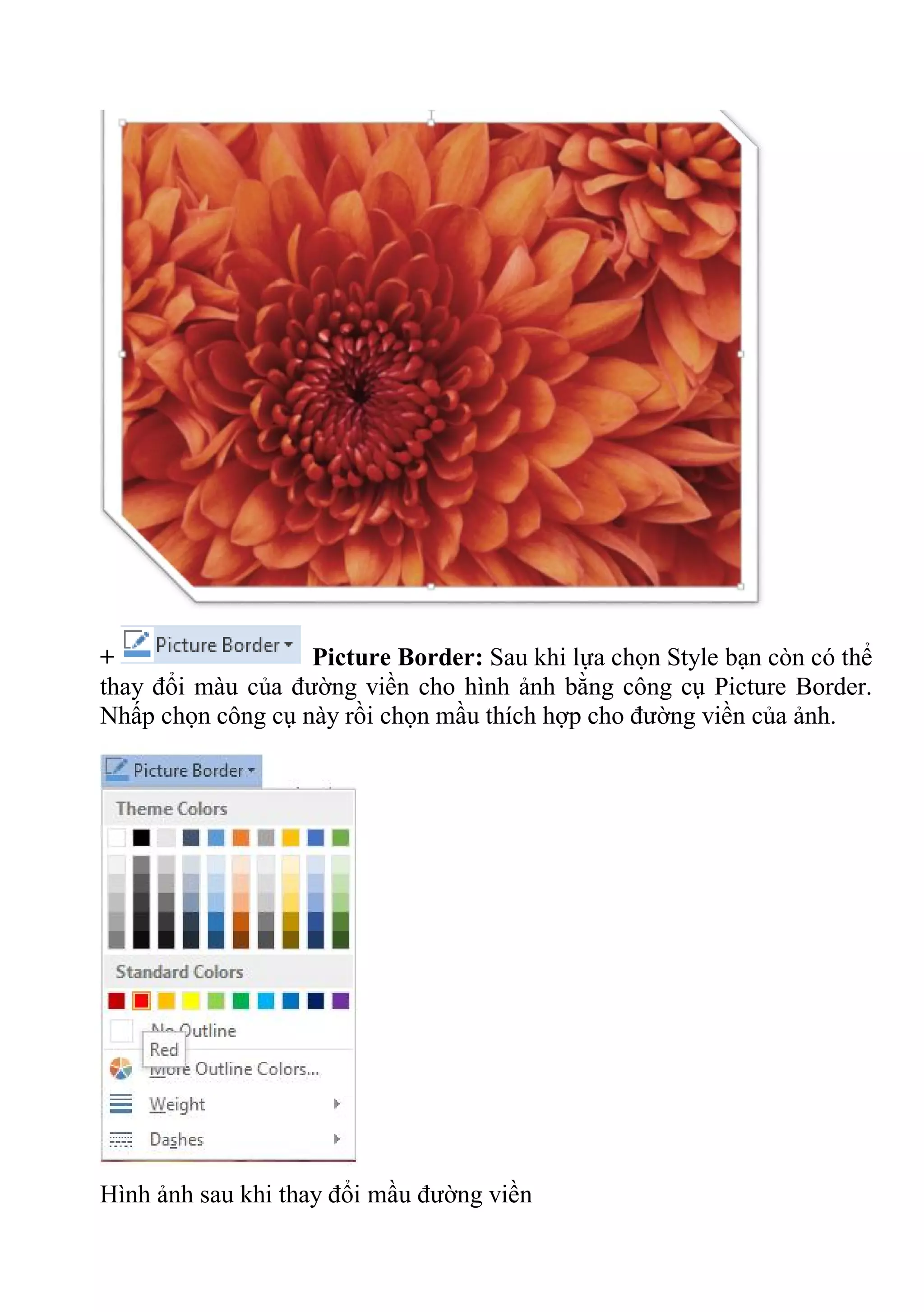 + Picture Border: Sau khi lựa chọn Style bạn còn có thể
thay đổi màu của đường viền cho hình ảnh bằng công cụ Picture Border.
Nhấp chọn công cụ này rồi chọn mầu thích hợp cho đường viền của ảnh.
Hình ảnh sau khi thay đổi mầu đường viền
 