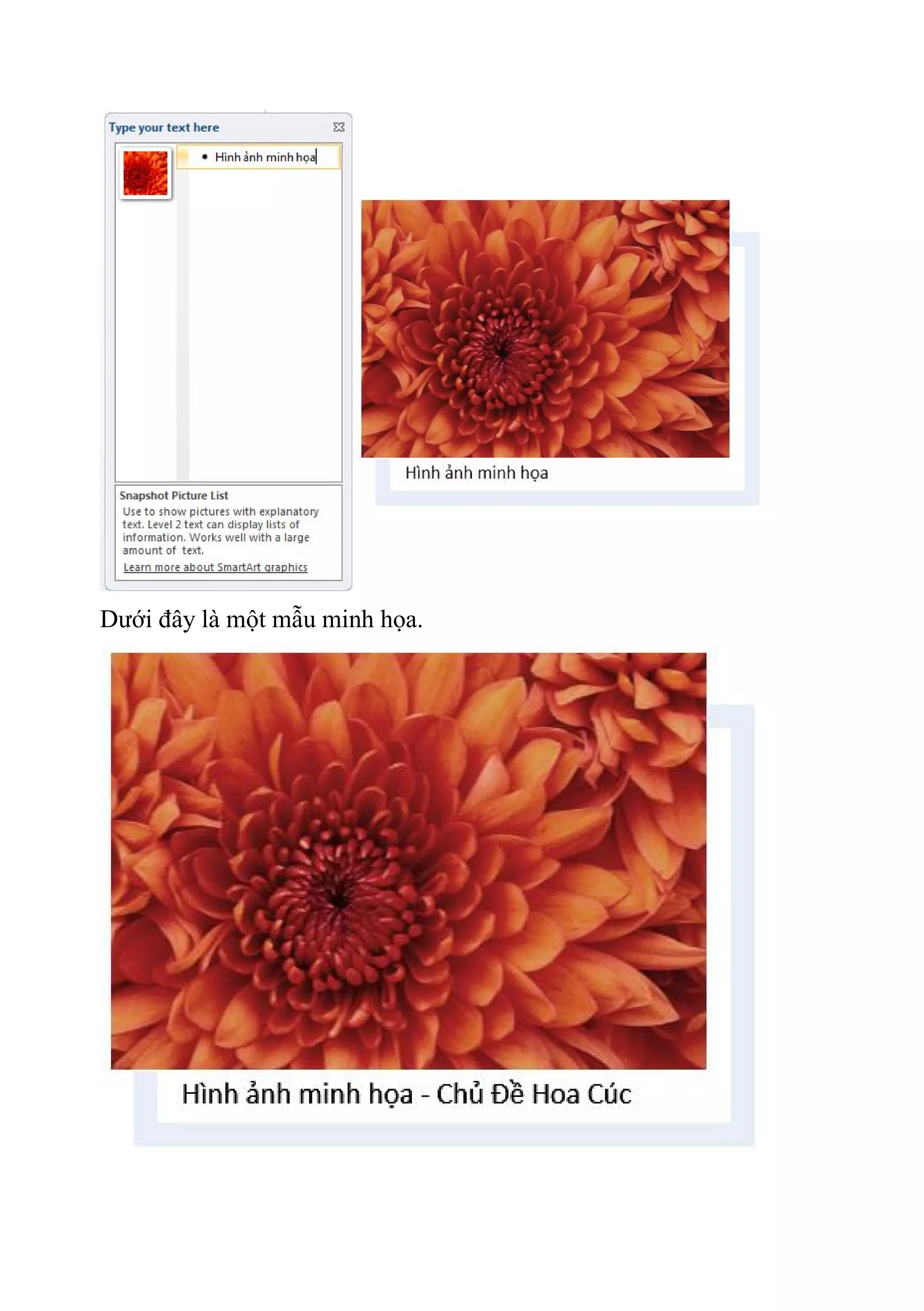 Dưới đây là một mẫu minh họa.
 