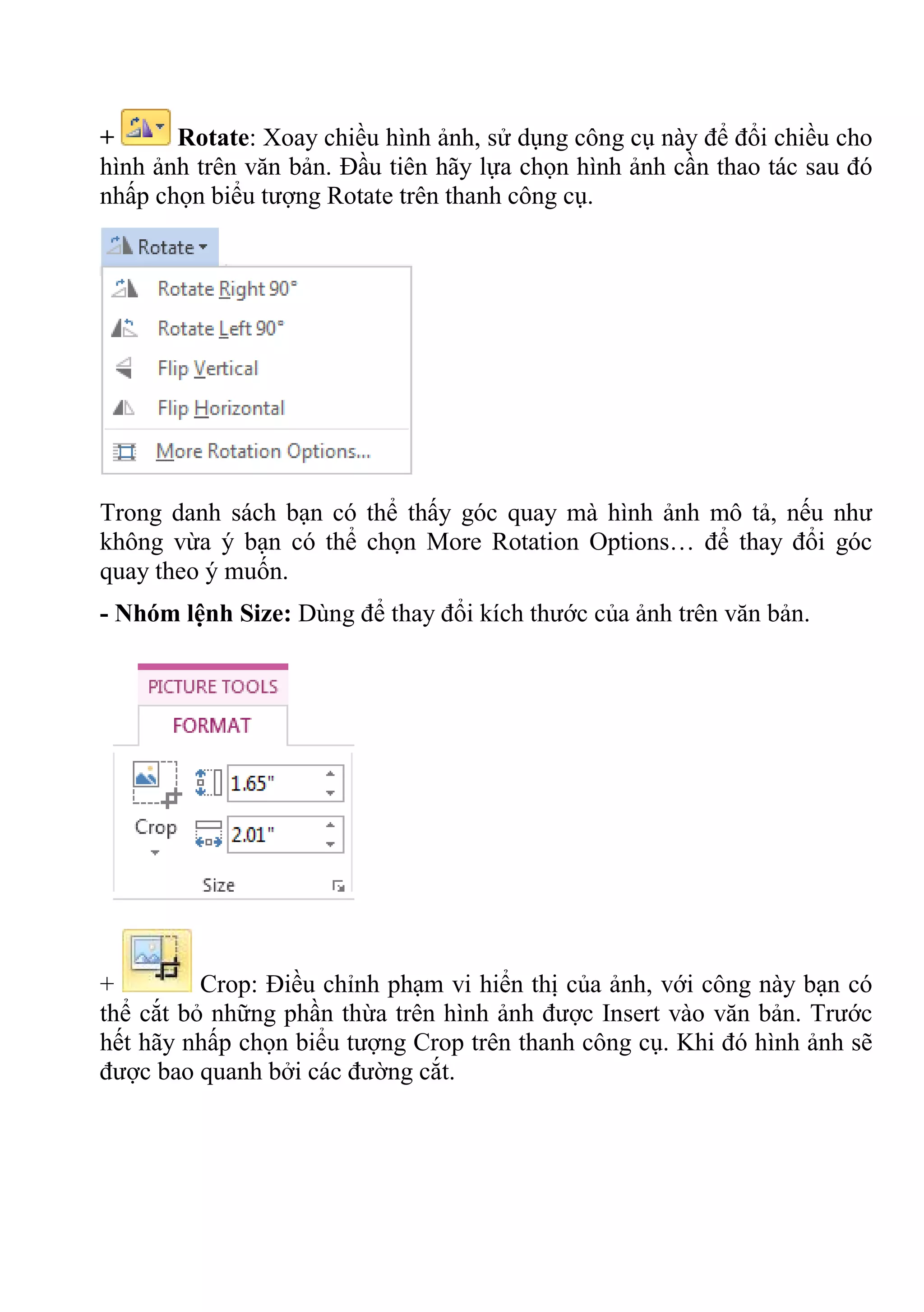 + Rotate: Xoay chiều hình ảnh, sử dụng công cụ này để đổi chiều cho
hình ảnh trên văn bản. Đầu tiên hãy lựa chọn hình ảnh cần thao tác sau đó
nhấp chọn biểu tượng Rotate trên thanh công cụ.
Trong danh sách bạn có thể thấy góc quay mà hình ảnh mô tả, nếu như
không vừa ý bạn có thể chọn More Rotation Options… để thay đổi góc
quay theo ý muốn.
- Nhóm lệnh Size: Dùng để thay đổi kích thước của ảnh trên văn bản.
+ Crop: Điều chỉnh phạm vi hiển thị của ảnh, với công này bạn có
thể cắt bỏ những phần thừa trên hình ảnh được Insert vào văn bản. Trước
hết hãy nhấp chọn biểu tượng Crop trên thanh công cụ. Khi đó hình ảnh sẽ
được bao quanh bởi các đường cắt.
 