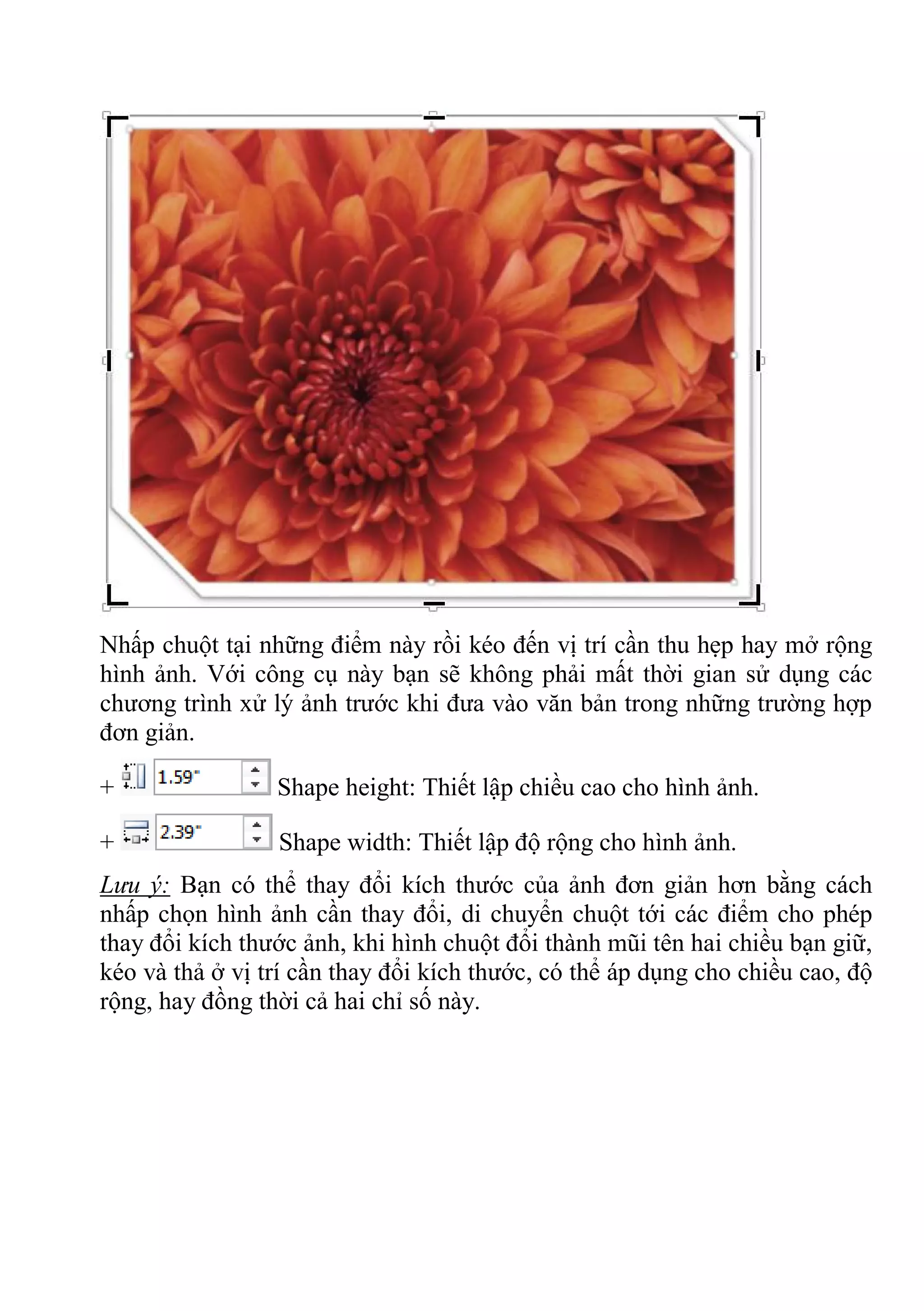 Nhấp chuột tại những điểm này rồi kéo đến vị trí cần thu hẹp hay mở rộng
hình ảnh. Với công cụ này bạn sẽ không phải mất thời gian sử dụng các
chương trình xử lý ảnh trước khi đưa vào văn bản trong những trường hợp
đơn giản.
+ Shape height: Thiết lập chiều cao cho hình ảnh.
+ Shape width: Thiết lập độ rộng cho hình ảnh.
Lưu ý: Bạn có thể thay đổi kích thước của ảnh đơn giản hơn bằng cách
nhấp chọn hình ảnh cần thay đổi, di chuyển chuột tới các điểm cho phép
thay đổi kích thước ảnh, khi hình chuột đổi thành mũi tên hai chiều bạn giữ,
kéo và thả ở vị trí cần thay đổi kích thước, có thể áp dụng cho chiều cao, độ
rộng, hay đồng thời cả hai chỉ số này.
 