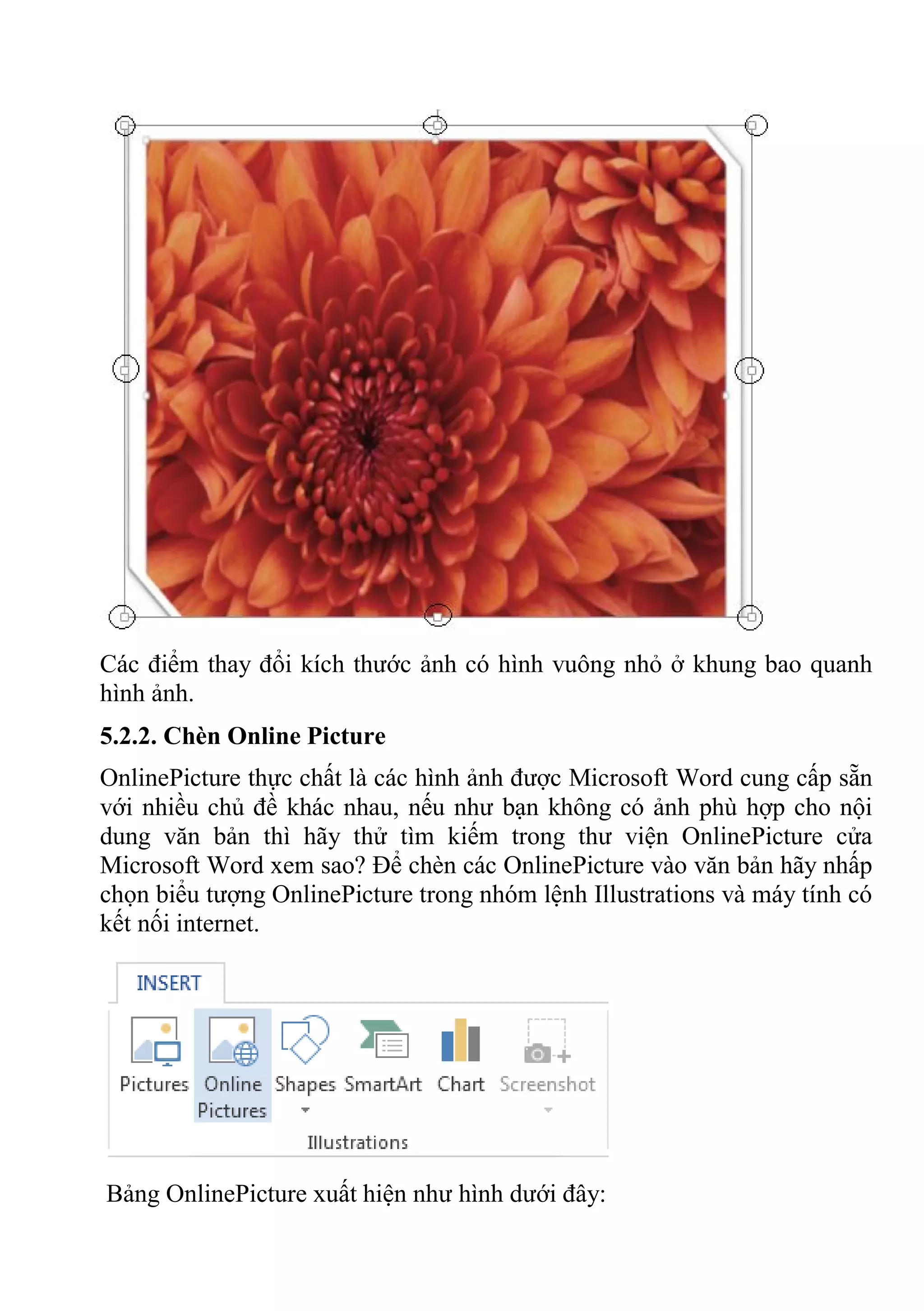 Các điểm thay đổi kích thước ảnh có hình vuông nhỏ ở khung bao quanh
hình ảnh.
5.2.2. Chèn Online Picture
OnlinePicture thực chất là các hình ảnh được Microsoft Word cung cấp sẵn
với nhiều chủ đề khác nhau, nếu như bạn không có ảnh phù hợp cho nội
dung văn bản thì hãy thử tìm kiếm trong thư viện OnlinePicture cửa
Microsoft Word xem sao? Để chèn các OnlinePicture vào văn bản hãy nhấp
chọn biểu tượng OnlinePicture trong nhóm lệnh Illustrations và máy tính có
kết nối internet.
Bảng OnlinePicture xuất hiện như hình dưới đây:
 