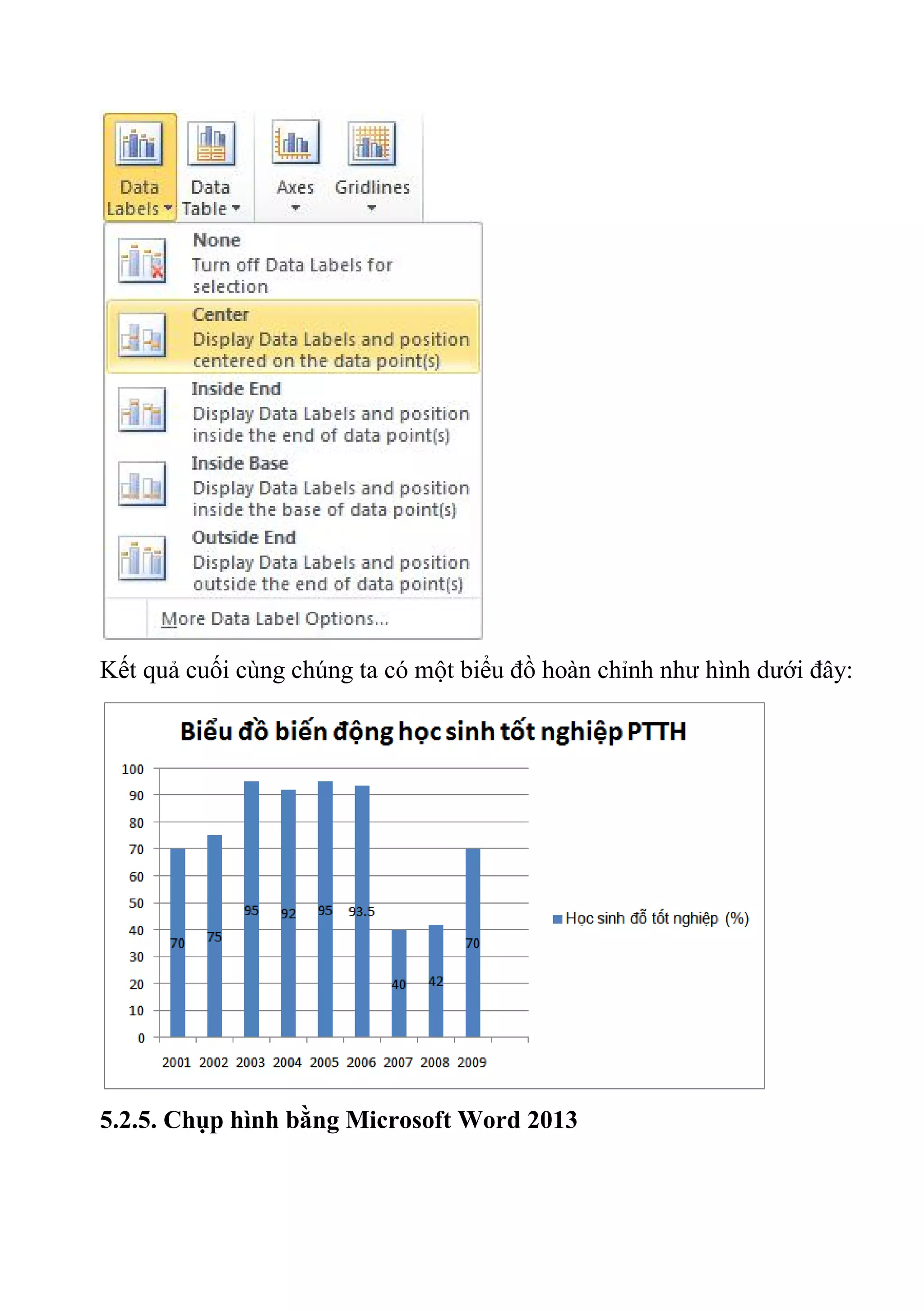 Kết quả cuối cùng chúng ta có một biểu đồ hoàn chỉnh như hình dưới đây:
5.2.5. Chụp hình bằng Microsoft Word 2013
 