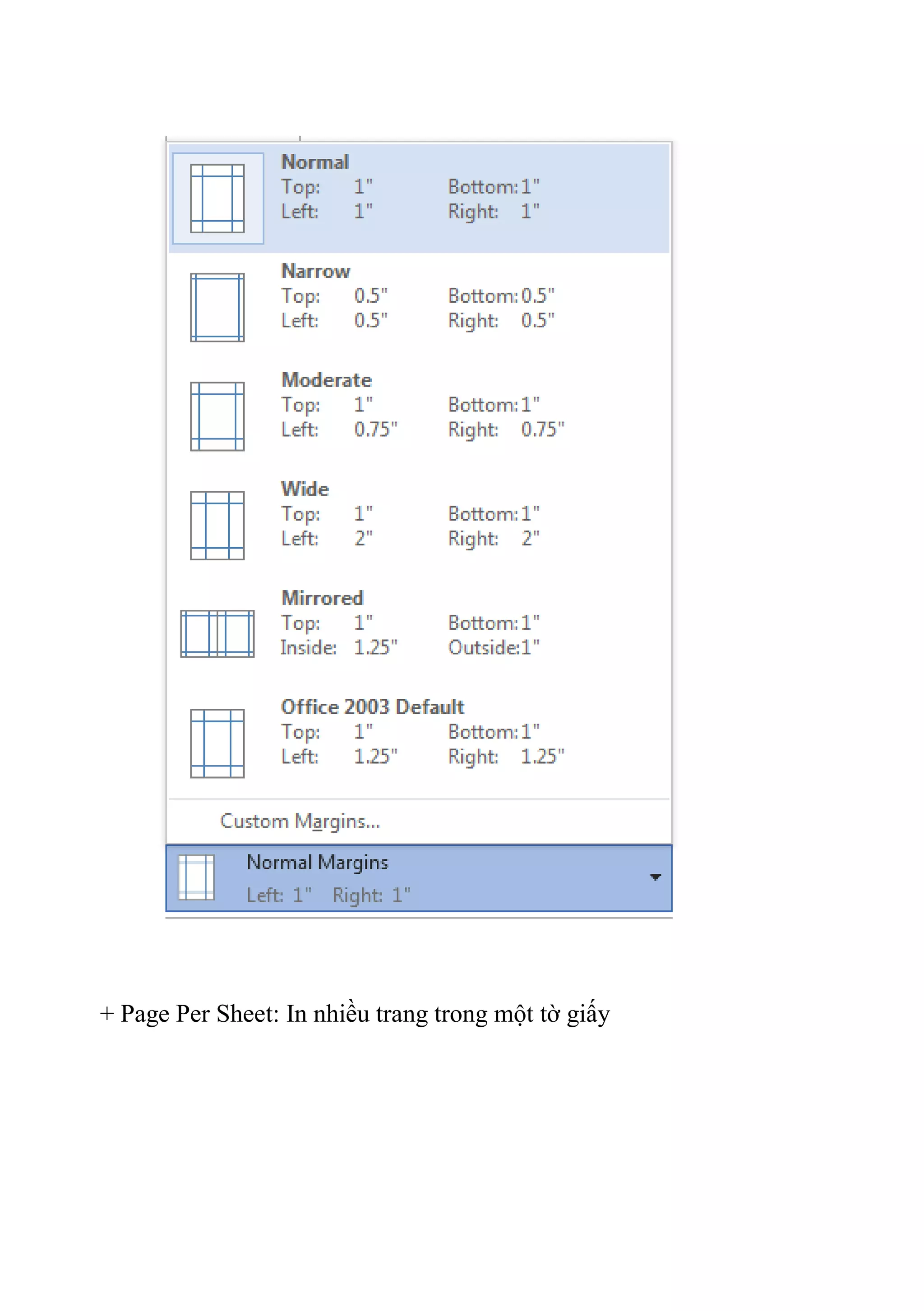 + Page Per Sheet: In nhiều trang trong một tờ giấy
 