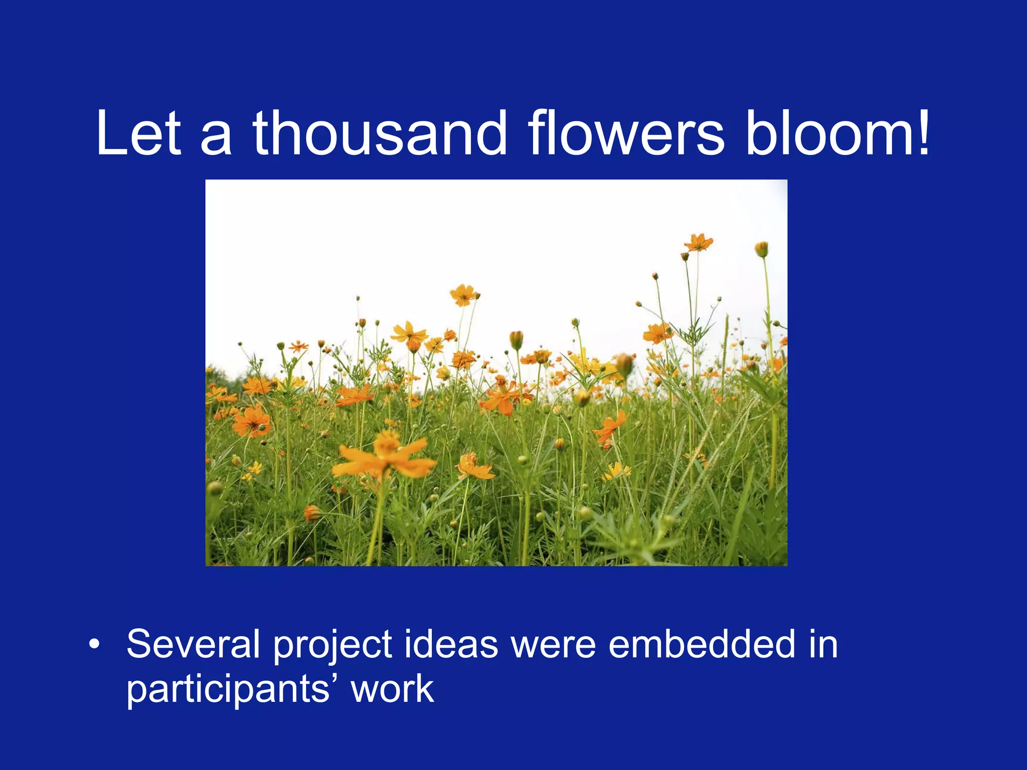 Let a thousand flowers bloom! Several project ideas were embedded in participants’ work 