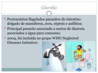 Giardia
 Protozoários flagelados parasitos do intestino
delgado de mamíferos, aves, répteis e anfíbios;
 Principal parasito associado a surtos de diarreia
associados a água para consumo;
 2004, foi incluída no grupo WHO Neglected
Diseases Initiative;
 