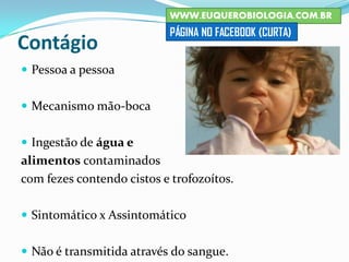 Contágio
 Pessoa a pessoa
 Mecanismo mão-boca
 Ingestão de água e
alimentos contaminados
com fezes contendo cistos e trofozoítos.
 Sintomático x Assintomático
 Não é transmitida através do sangue.
WWW.EUQUEROBIOLOGIA.COM.BR
PÁGINA NO FACEBOOK (CURTA)
 