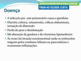Doença
 A infecção por este protozoário causa a giardíase
 Diarréia crônica, esteatorréia, cólicas abdominais,
sensação de distensão
 Perda de peso e desidratação
 Má absorção de gordura e de vitaminas lipossolúveis
 Às vezes há invasão extraintestinal onde os trofozoítos
migram pelos condutos biliares ou pancreáticos e
ocasionam inflamações.
WWW.EUQUEROBIOLOGIA.COM.BR
PÁGINA NO FACEBOOK (CURTA)
 