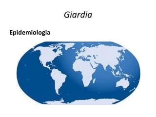 Giardia
Epidemiologia
 