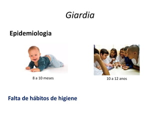 Giardia
Epidemiologia
8 a 10 meses 10 a 12 anos
Falta de hábitos de higiene
 