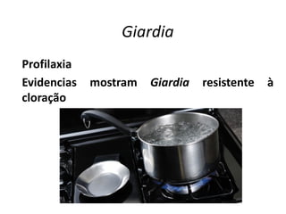 Giardia
Profilaxia
Evidencias mostram Giardia resistente à
cloração
 