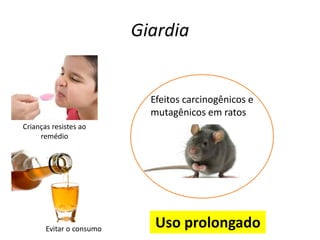 Giardia
Crianças resistes ao
remédio
Evitar o consumo
Efeitos carcinogênicos e
mutagênicos em ratos
Uso prolongado
 
