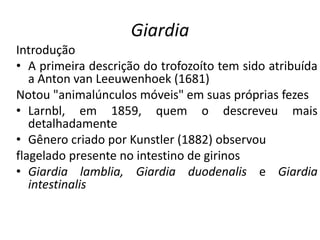 Giardia
Introdução
• A primeira descrição do trofozoíto tem sido atribuída
a Anton van Leeuwenhoek (1681)
Notou "animalúnculos móveis" em suas próprias fezes
• Larnbl, em 1859, quem o descreveu mais
detalhadamente
• Gênero criado por Kunstler (1882) observou
flagelado presente no intestino de girinos
• Giardia lamblia, Giardia duodenalis e Giardia
intestinalis
 