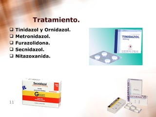 Tratamiento. Tinidazol y Ornidazol. Metronidazol. Furazolidona.  Secnidazol. Nitazoxanida. 