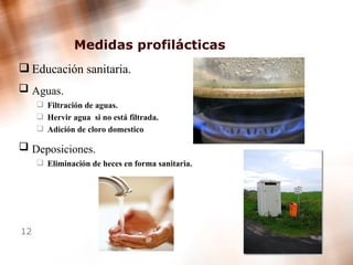 Medidas profilácticas  Educación sanitaria.  Aguas.   Filtración de aguas. Hervir agua  si no está filtrada. Adición de cloro domestico  Deposiciones.   Eliminación de heces en forma sanitaria. 