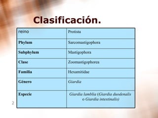 Clasificación. Giardia lamblia  ( Giardia duodenalis  o  Giardia intestinalis) Especie Giardia Género Hexamitidae Familia Zoomastigophorea Clase Mastigophora Subphylum Sarcomastigophora Phylum Protista reino 