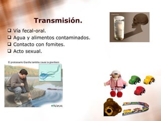 Transmisión. Vía fecal-oral. Agua y alimentos contaminados. Contacto con fomites. Acto sexual. 