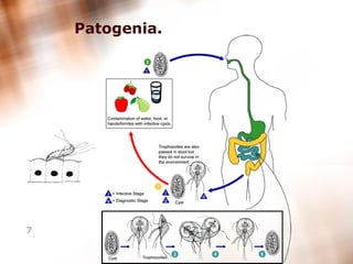 Patogenia. 