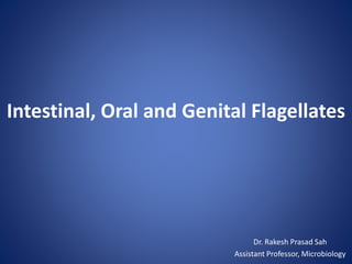 Intestinal, Oral and Genital Flagellates
Dr. Rakesh Prasad Sah
Assistant Professor, Microbiology
 