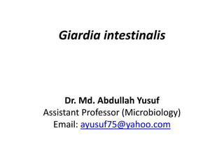 Giardia intestinalis
Dr. Md. Abdullah Yusuf
Assistant Professor (Microbiology)
Email: ayusuf75@yahoo.com
 