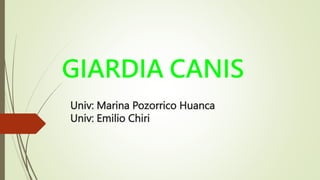 Univ: Marina Pozorrico Huanca
Univ: Emilio Chiri
GIARDIA CANIS
 