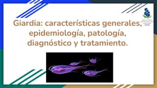 Giardia: características generales,
epidemiología, patología,
diagnóstico y tratamiento.
 
