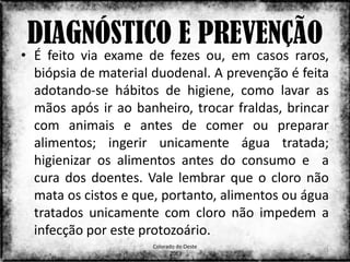DIAGNÓSTICO E PREVENÇÃO
• É feito via exame de fezes ou, em casos raros,
  biópsia de material duodenal. A prevenção é feita
  adotando-se hábitos de higiene, como lavar as
  mãos após ir ao banheiro, trocar fraldas, brincar
  com animais e antes de comer ou preparar
  alimentos; ingerir unicamente água tratada;
  higienizar os alimentos antes do consumo e a
  cura dos doentes. Vale lembrar que o cloro não
  mata os cistos e que, portanto, alimentos ou água
  tratados unicamente com cloro não impedem a
  infecção por este protozoário.
                     Colorado do Oeste
                                                  21
                           2013
 