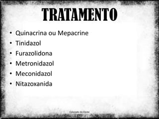 TRATAMENTO
•   Quinacrina ou Mepacrine
•   Tinidazol
•   Furazolidona
•   Metronidazol
•   Meconidazol
•   Nitazoxanida


                     Colorado do Oeste
                                         22
                           2013
 