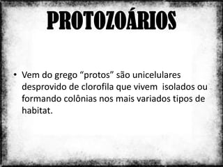 PROTOZOÁRIOS

• Vem do grego “protos” são unicelulares
  desprovido de clorofila que vivem isolados ou
  formando colônias nos mais variados tipos de
  habitat.



                   Colorado do Oeste 2013         3
 