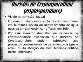 Oocistos de Cryptosporidium
          (criptosporidiose)
• Via de transmissão. (água)
• O primeiro relato sobre surto de criptosporidiose
  em humanos devido ao abastecimento de água
  ocorreu em San Antônio, no Texas, em 1984.
• Por esse aumento dramático na incidência de
  criptosporidiose evidenciou que oocistos de
  Cryptosporidium      podem     sobreviver     aos
  processos convencionais de tratamento da água e
  atraiu muita atenção do meio técnico-científico
  norte- americano.
                    Colorado do Oeste 2013        4
 