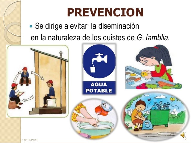 Las lombrices que curar a los gatos y a las personas