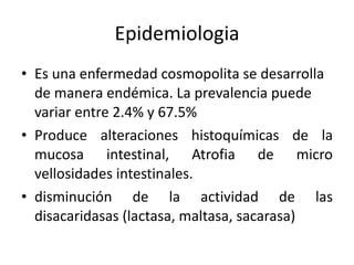 Epidemiologia Es una enfermedad cosmopolita se desarrolla de manera endémica. La prevalencia puede variar entre 2.4% y 67.5% Produce alteraciones histoquímicas de la mucosa intestinal, Atrofia de micro vellosidades intestinales. disminución de la actividad de las disacaridasas (lactasa, maltasa, sacarasa) 