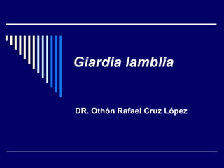 Giardia lamblia


DR. Othón Rafael Cruz López
 