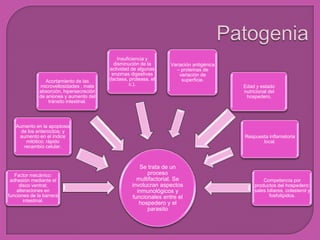 Se trata de un
proceso
multifactorial. Se
involucran aspectos
inmunológicos y
funcionales entre el
hospedero y el
parasito
Factor mecánico:
adhesión mediante el
disco ventral;
alteraciones en
funciones de la barrera
intestinal.
Aumento en la apoptosis
de los enterocitos; y
aumento en el índice
mitótico: rápido
recambio celular.
Acortamiento de las
microvellosidades , mala
absorción, hipersecreción
de aniones y aumento del
tránsito intestinal.
Insuficiencia y
disminución de la
actividad de algunas
enzimas digestivas
(lactasa, proteasa, et
c.).
Variación antigénica
– proteínas de
variación de
superficie.
Edad y estado
nutricional del
hospedero.
Respuesta inflamatoria
local.
Competencia por
productos del hospedero:
sales biliares, colesterol y
fosfolípidos.
 