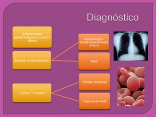 Antecedentes
epidemiológicos y cuadro
clínico
Examen de deposiciones
Parasitológico
seriado deposiciones
(fresco)
Elisa
Examen + invasivo
Sondeo duodenal
Cápsula de Beal
 