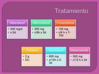 Albendazol
• 400 mg/d
• x 5d
Metronidazol
• 250 mg
• c/8h x 5d
Furazolidona
• 100 mg
• c/6 h x 7-
10d
Tinidazol
• 2 g
• DU
Secnidazol
• 600 mg
• c/12h x 2-
3d
Nitazoxanida
• 500 mg
• c/12 h x 3d
 