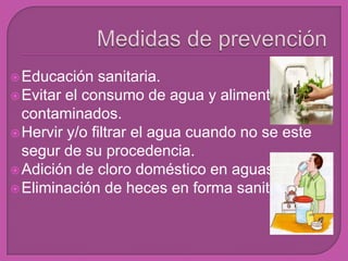 Educación sanitaria.
Evitar el consumo de agua y alimentos
contaminados.
Hervir y/o filtrar el agua cuando no se este
segur de su procedencia.
Adición de cloro doméstico en aguas.
Eliminación de heces en forma sanitaria
 