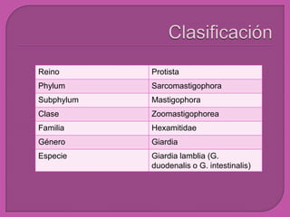 Reino Protista
Phylum Sarcomastigophora
Subphylum Mastigophora
Clase Zoomastigophorea
Familia Hexamitidae
Género Giardia
Especie Giardia lamblia (G.
duodenalis o G. intestinalis)
 