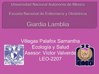 Villegas Palafox Samantha
Ecología y Salud
Asesor: Víctor Valverde
LEO-2207
 