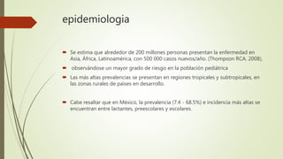 epidemiologia
 Se estima que alrededor de 200 millones personas presentan la enfermedad en
Asia, África, Latinoamérica, con 500 000 casos nuevos/año. (Thompson RCA. 2008),
 observándose un mayor grado de riesgo en la población pediátrica
 Las más altas prevalencias se presentan en regiones tropicales y subtropicales, en
las zonas rurales de países en desarrollo.
 Cabe resaltar que en México, la prevalencia (7.4 - 68.5%) e incidencia más altas se
encuentran entre lactantes, preescolares y escolares.
 