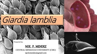 lamblia
Prepared by:
NOE P. MENDEZ
CENTRAL MINDANAO UNIVERSITY (CMU)
npolomendez@gmail.com
 