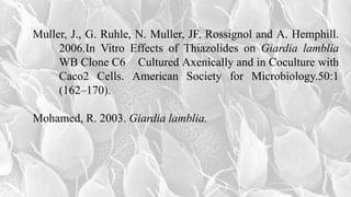 Muller, J., G. Ruhle, N. Muller, JF. Rossignol and A. Hemphill.
2006.In Vitro Effects of Thiazolides on Giardia lamblia
WB Clone C6 Cultured Axenically and in Coculture with
Caco2 Cells. American Society for Microbiology.50:1
(162–170).
Mohamed, R. 2003. Giardia lamblia.
 