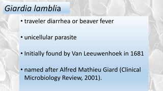 Giardia lamblia
• traveler diarrhea or beaver fever
• unicellular parasite
• Initially found by Van Leeuwenhoek in 1681
• named after Alfred Mathieu Giard (Clinical
Microbiology Review, 2001).
 