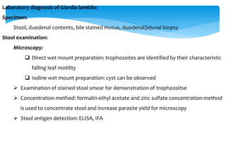 Laboratory diagnosis of Giardia lamblia:
Specimen:
Stool, duodenal contents, bile stained mucus, duodenal/jejunal biopsy
Stool examination:
Microscopy:
 Direct wet mount preparation: trophozoites are identified by their characteristic
falling leaf motility
 Iodine wet mount preparation: cyst can be observed
 Examination of stained stool smear for demonstration of trophozoitse
 Concentration method: formalin-ethyl acetate and zinc sulfate concentration method
is used to concentrate stool and increase parasite yield for microscopy
 Stool antigen detection: ELISA, IFA
 